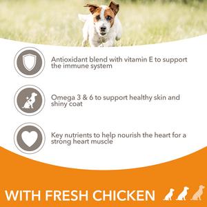 IAMS For Vitality Adult Small & Medium Breed Dog Food with Fresh Chicken 2kg - gallery image 3