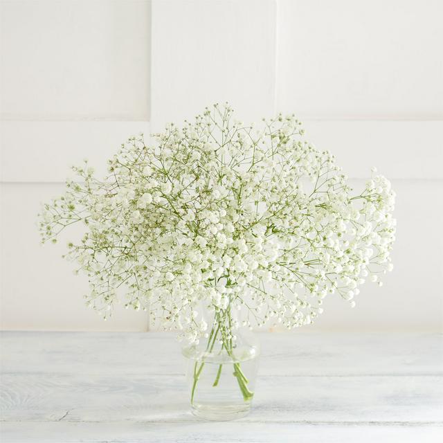 baby breath bouquet in Highland, CA