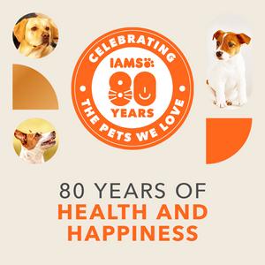 IAMS ProActive Health Dog Food with Chicken for Large Breeds 2kg - gallery image 2