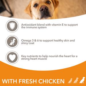 IAMS ProActive Health Dog Food with Chicken for Large Breeds 2kg - gallery image 3
