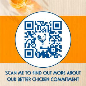 Dr. Oetker 355g Ristorante Pollo Pizza - gallery image 5