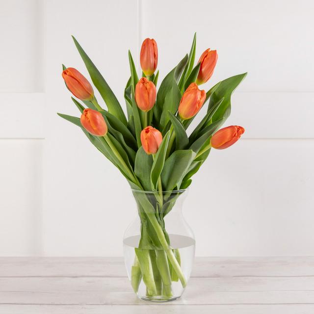 Sainsburys Tulips