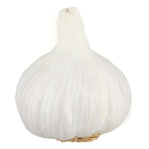 Sainsbury's Garlic