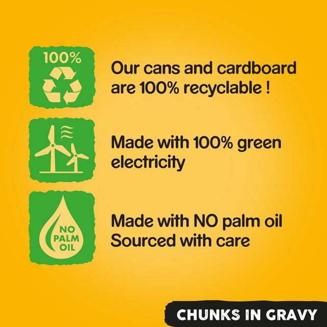 pedigree junior labrador