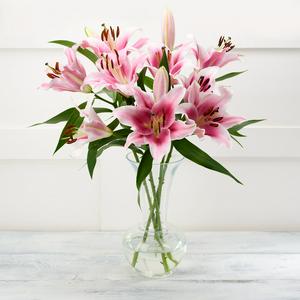 The Floral Collection, Luxury Lilies