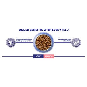 Purina One Adult Dry Cat Food Salmon & Wholegrain 800g - gallery image 6