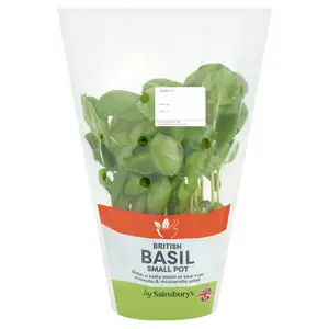 Sainsbury's Fresh Living Basil Pot