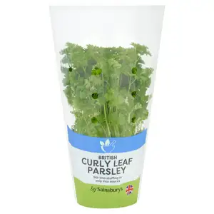 Sainsbury's Fresh Living Curly Parsley Pot