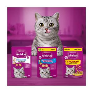Whiskas Temptations Adult Cat Treat Biscuits with Chicken & Cheese 60g - gallery image 6