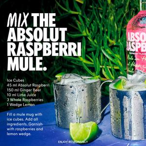 Absolut Raspberry Flavored Vodka 700ml - gallery image 3