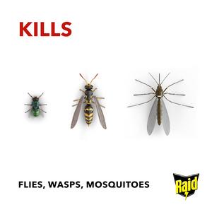 Raid Fly, Wasp & Mosquito Killer 300ml - gallery image 4