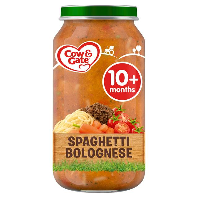 spaghetti baby food