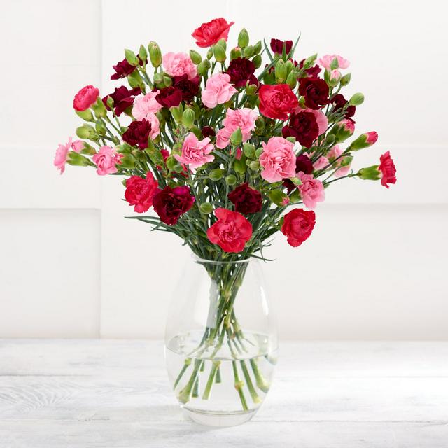 Bouquet carnation Carnations