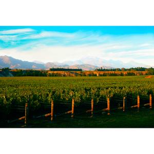 Villa Maria Reserve Sauvignon Blanc White Wine 75cl - gallery image 5