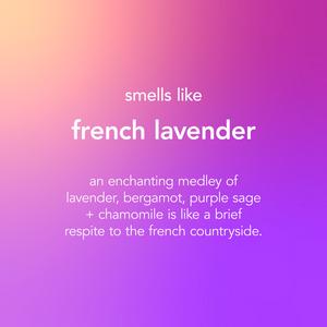Method Multi-Surface Cleaner, French Lavender, 828ml - gallery image 3