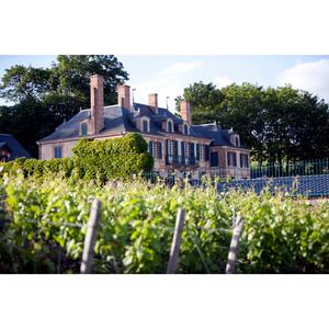 Taittinger Brut Reserve Champagne 75cl - gallery image 2
