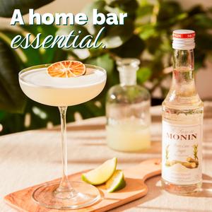 Monin Pure Cane Sugar 25cl - gallery image 2
