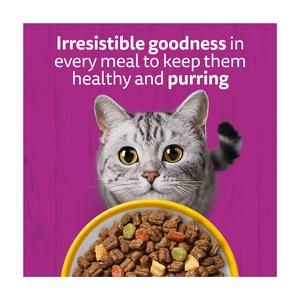 Whiskas Chicken Senior Complete Dry Cat Food 800g - gallery image 5