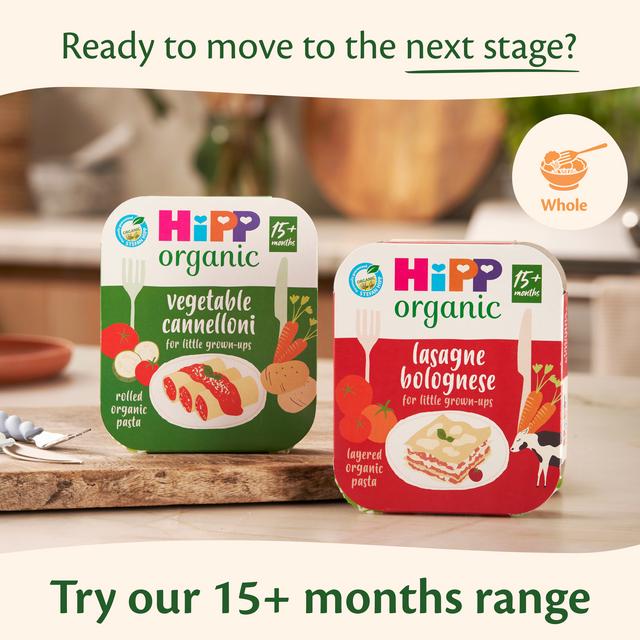 Pasta Hipp Organic Tesco Tesco Groceries Tesco Hipp Organic Baby