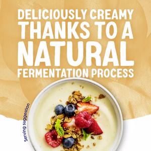 Alpro Vanilla Soya Plant Based Yoghurt Alternative 500g - gallery image 5