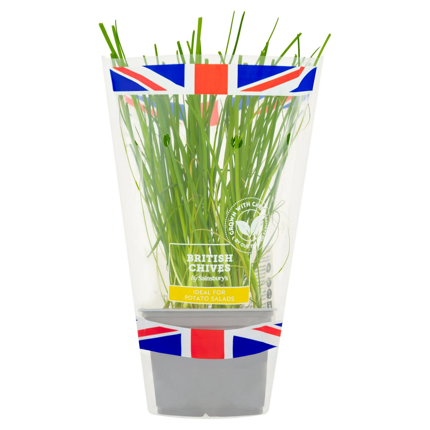 Sainsbury's online Grocery Shopping and Fresh Food Delivery