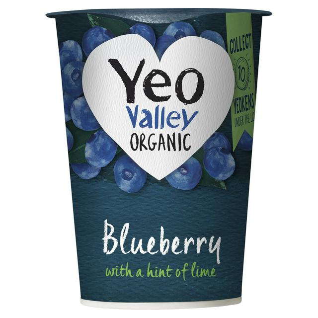 Yeo Valley Organic Blueberry & Lime Yogurt 450g
