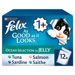 felix ocean feasts 40