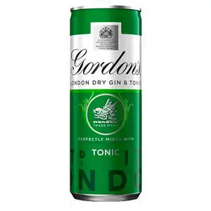 Gordon's Gin & Tonic 250ml