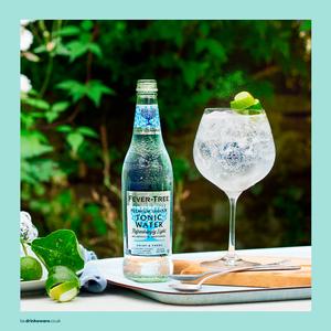Fever-Tree Light Tonic Water 500ml - gallery image 3