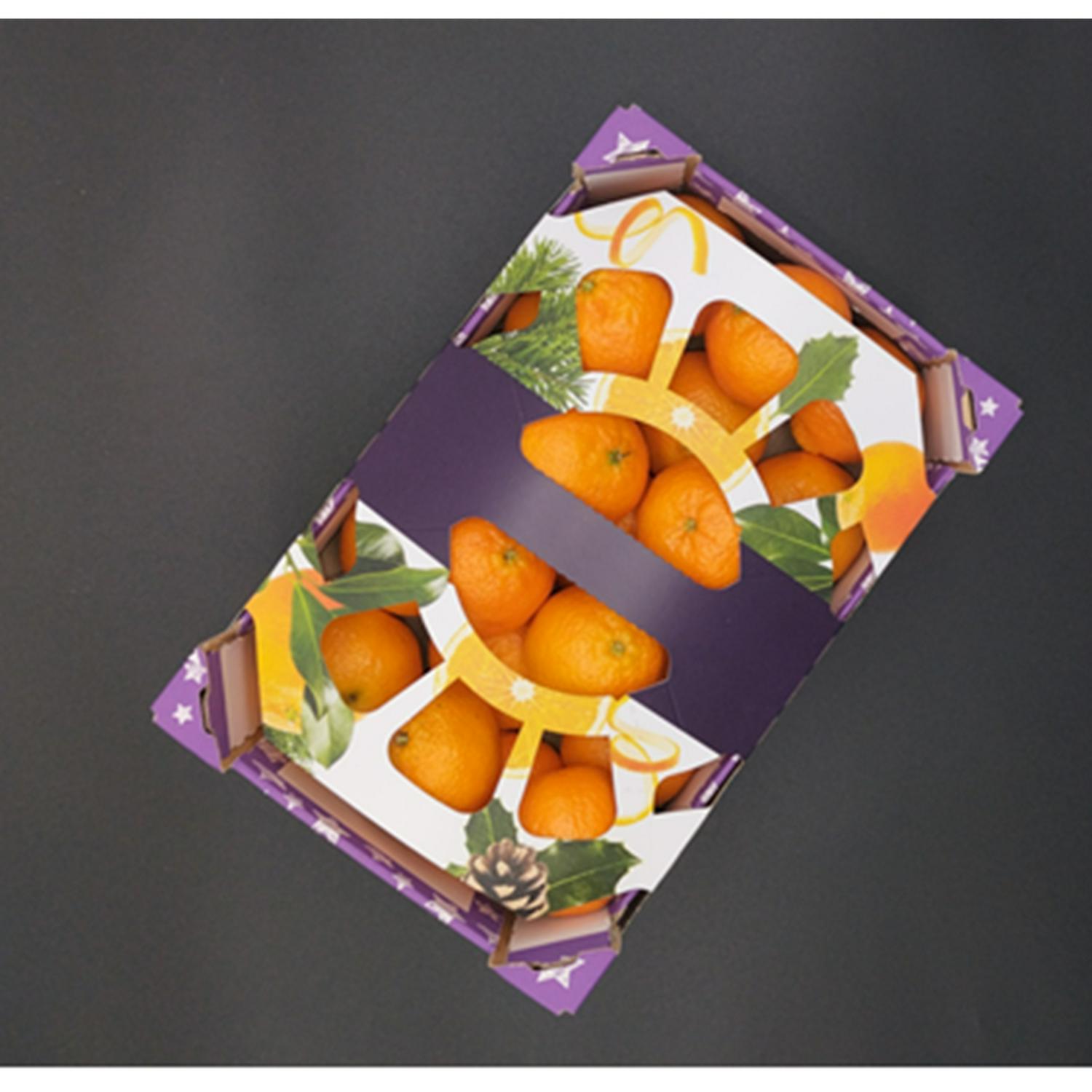 Sainsbury's online Grocery Shopping and Fresh Food Delivery