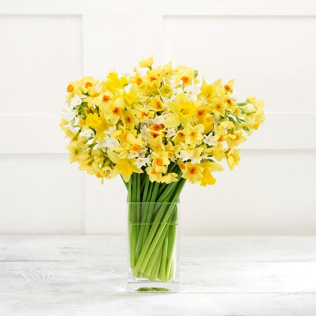 Sainsbury's Daffodil Bouquet - £0.01 - Compare Prices