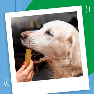 Bakers Joint Delicious Large Chicken Dog Chews 240g - gallery image 4