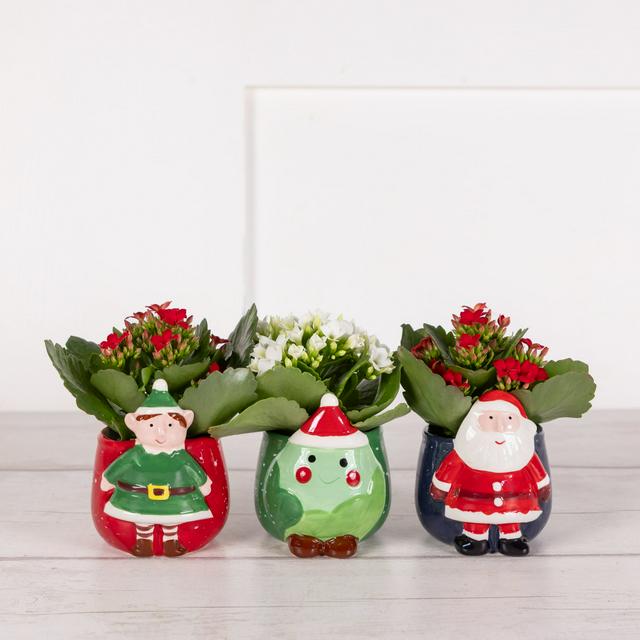 Sainsbury's online Grocery Shopping and Fresh Food Delivery