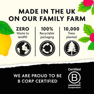 Belvoir Farm Raspberry & Lemon Cordial 500ml - gallery image 4