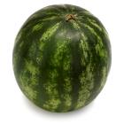 Sainsbury's Giant Watermelon - gallery image 1