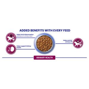 Purina One Urinary Health Chicken Dry Cat Food 750g - gallery image 5