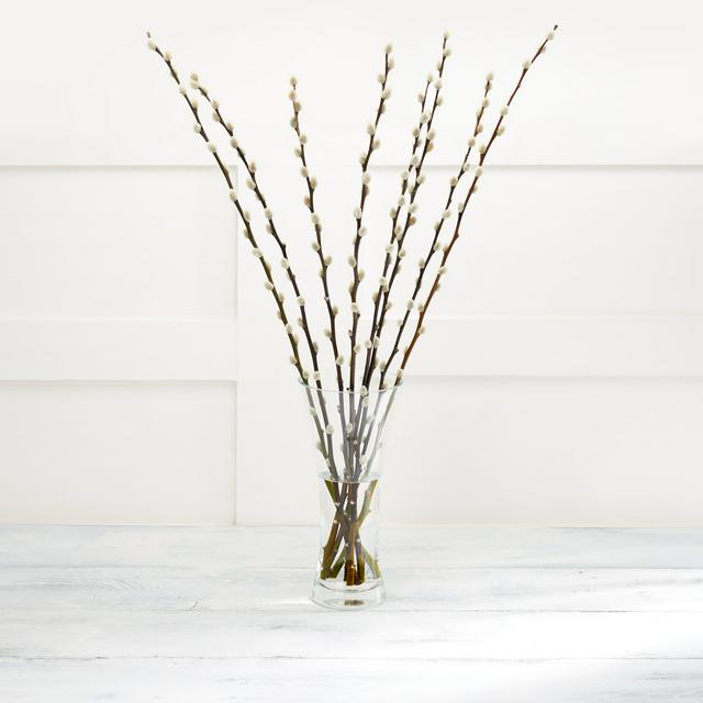 Pussy Willow Flowers - gallery image 1