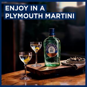 Plymouth The Original Strength English Gin 70cl - gallery image 5