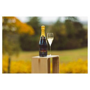 Chapel Down Brut 75cl - gallery image 4