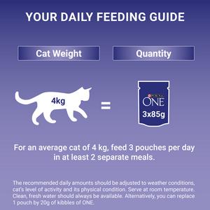 Purina One Senior 7+ Mini Fillets Chicken & Beef Wet Cat Food 8 x 85g - gallery image 5