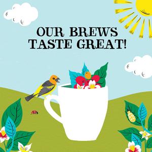Clipper Fairtrade Organic Decaf Latin American Instant Coffee 100g - gallery image 5