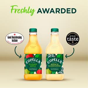 Copella Cloudy Apple Fruit Juice 300ml - gallery image 4