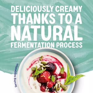 Alpro Plain Coconut Plant Based Soya Yoghurt Alternative 500g - gallery image 5