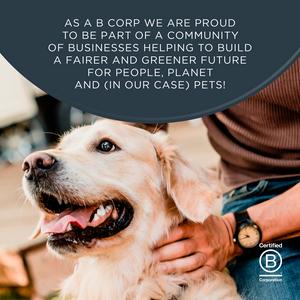 Encore Natural Finest Selection In Jelly Dog Food Pouches 5x100g - gallery image 6