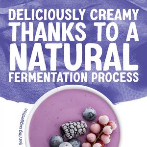 Alpro Raspberry Cranberry & Blackberry Yoghurt Alternative 4x125g - gallery image 4
