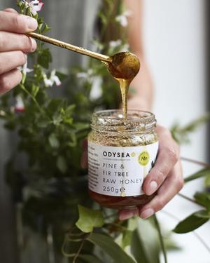 Odysea Greek Pine & Fir Tree Raw Honey 250g - gallery image 2
