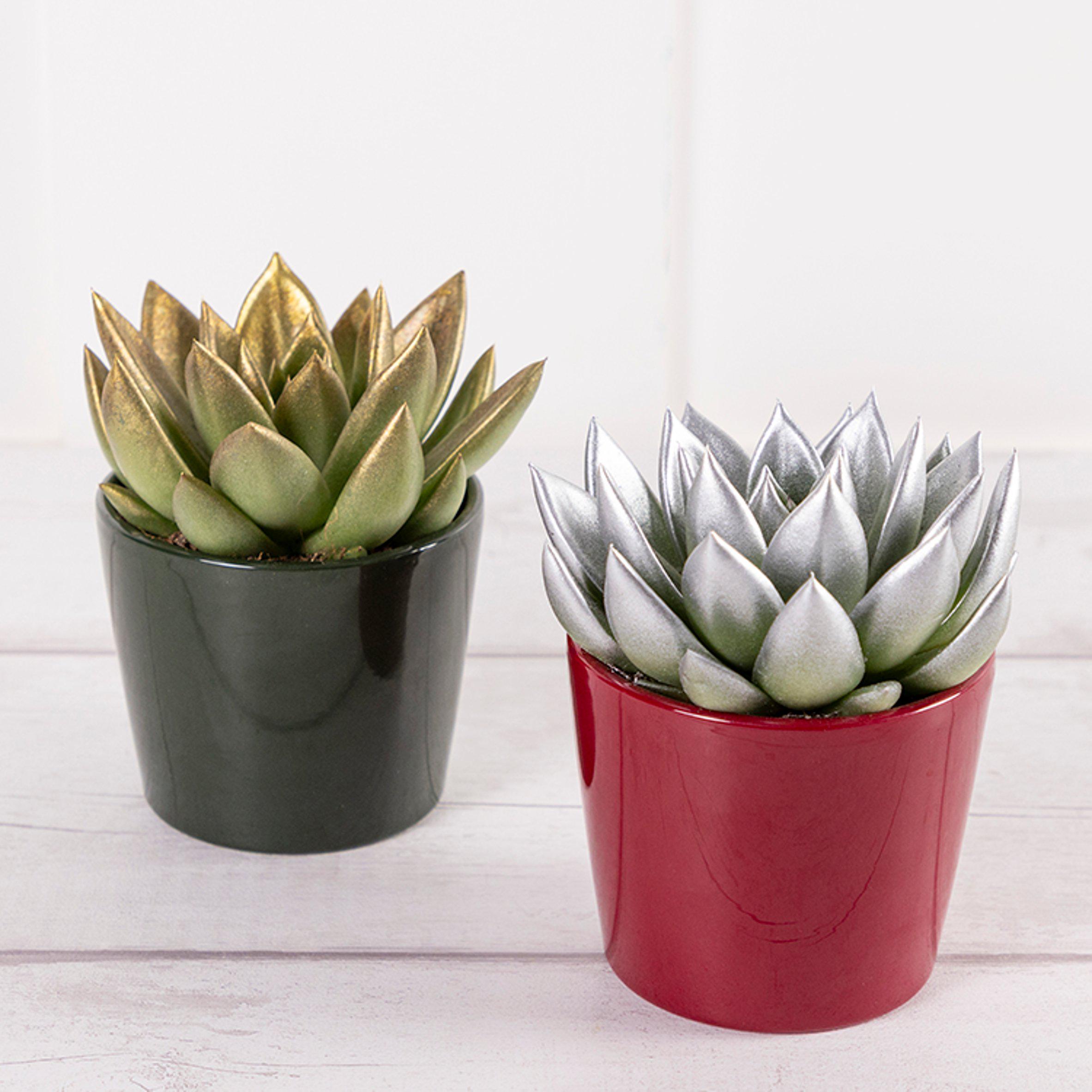 Sainsbury's online Grocery Shopping and Fresh Food Delivery