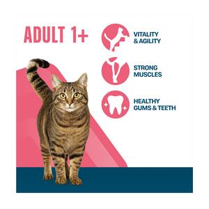 Perfect Fit Advanced Nutrition Adult Complete Dry Chicken Cat Food 750g - gallery image 2