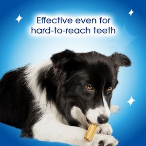 Dentalife Small Dental Chicken Dog Chews Sticks x21 - gallery image 6