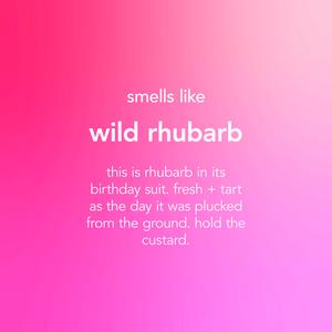 Method Anti-Bac Multi Surface Cleaner Spray, Wild Rhubarb, 828ml - gallery image 3